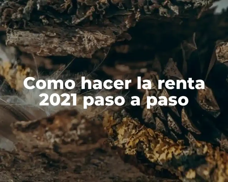 Como hacer la renta 2021 paso a paso