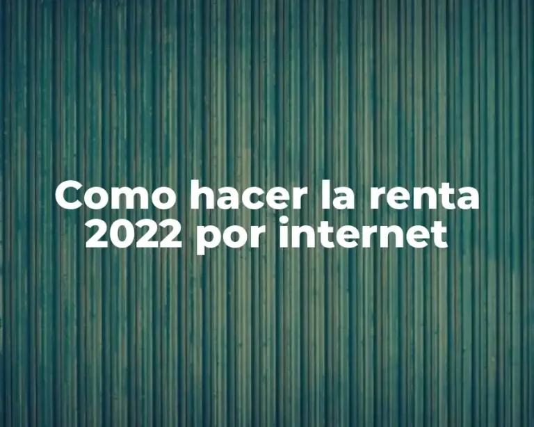 Como hacer la renta 2022 por internet