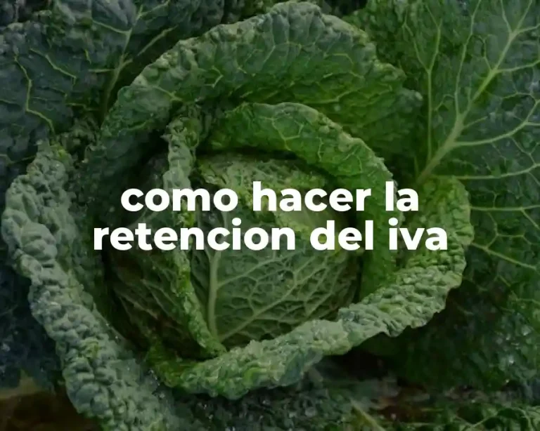 como hacer la retencion del iva
