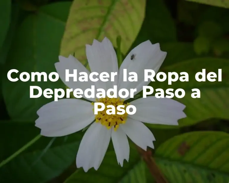 Como Hacer la Ropa del Depredador Paso a Paso