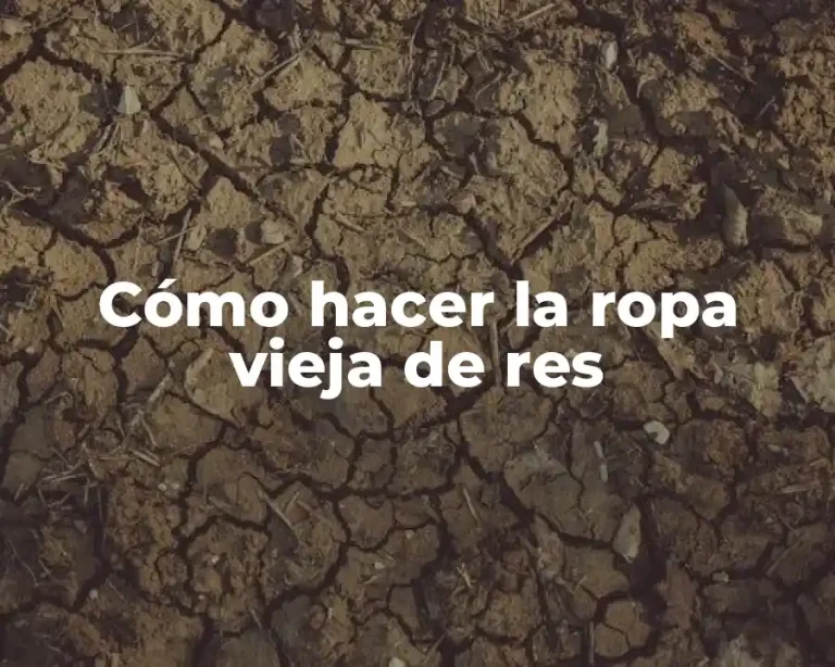 Cómo hacer la ropa vieja de res