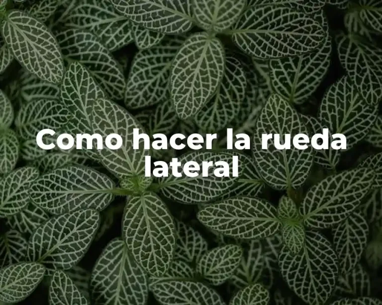 Como hacer la rueda lateral