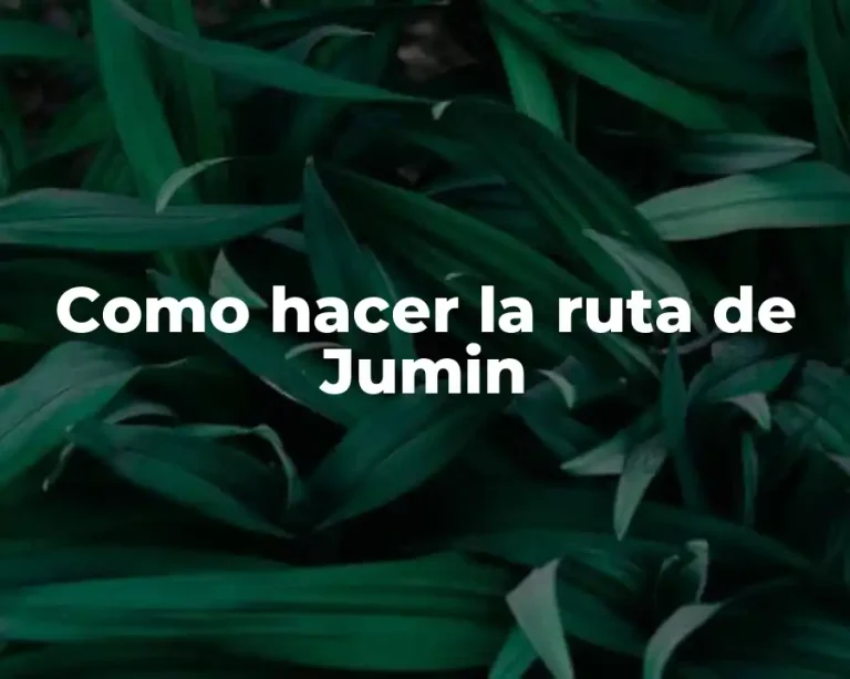 Como hacer la ruta de Jumin