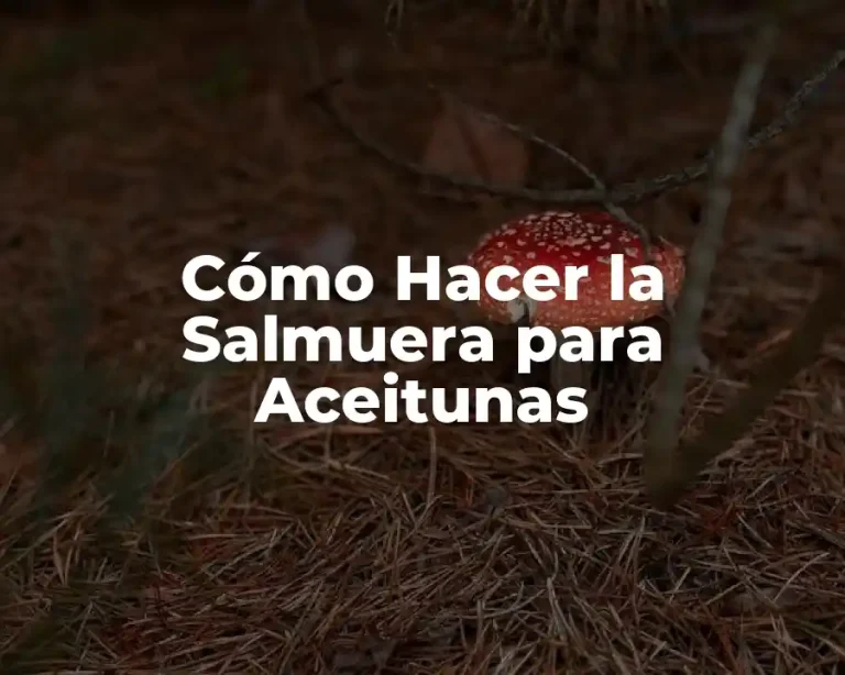 Cómo Hacer la Salmuera para Aceitunas