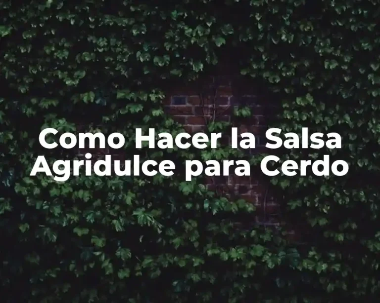 Como Hacer la Salsa Agridulce para Cerdo