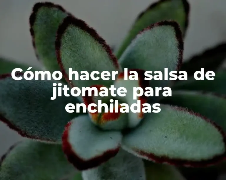 Cómo hacer la salsa de jitomate para enchiladas