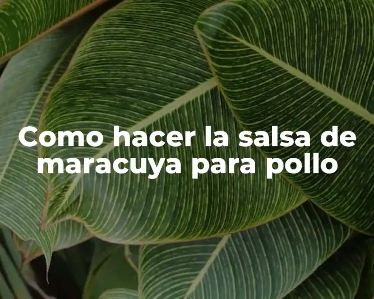 Como hacer la salsa de maracuya para pollo