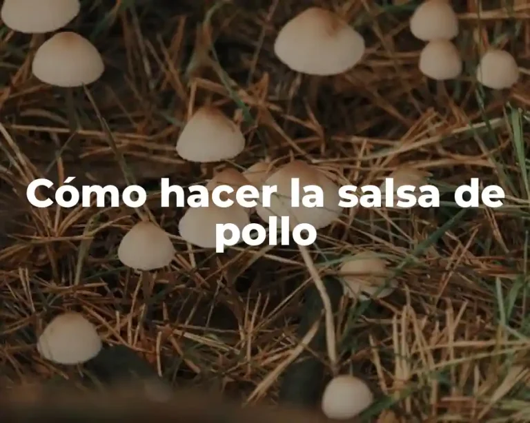Cómo hacer la salsa de pollo