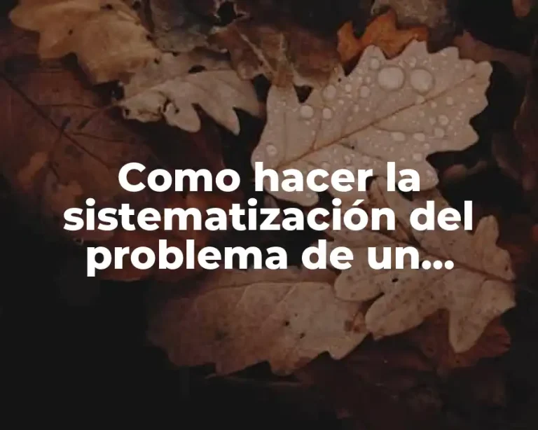 Como hacer la sistematización del problema de un proyecto