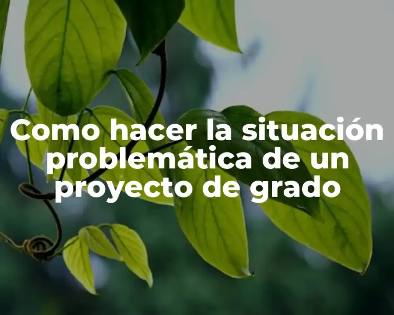 Como hacer la situación problemática de un proyecto de grado