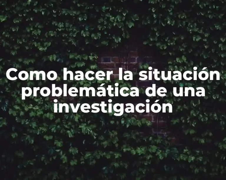 Como hacer la situación problemática de una investigación