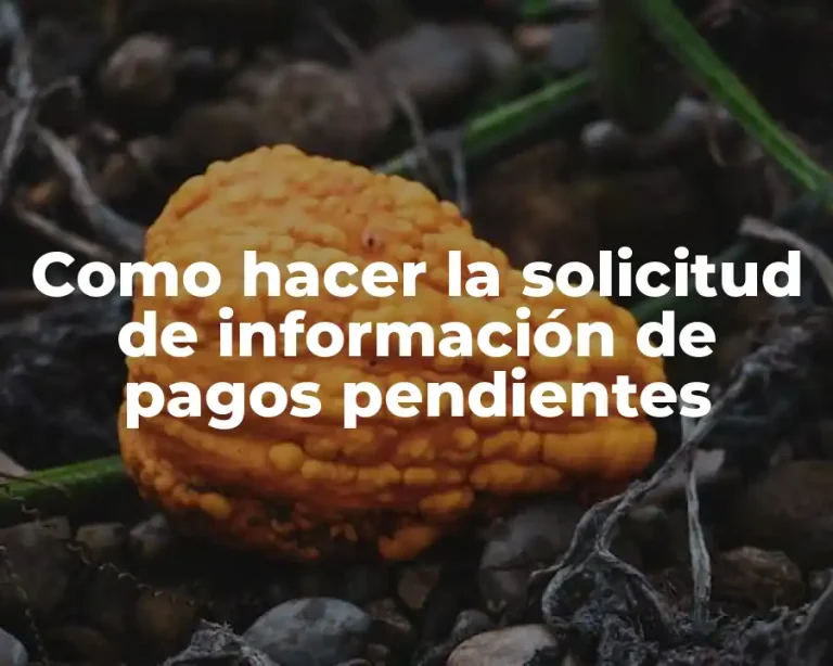 Como hacer la solicitud de información de pagos pendientes