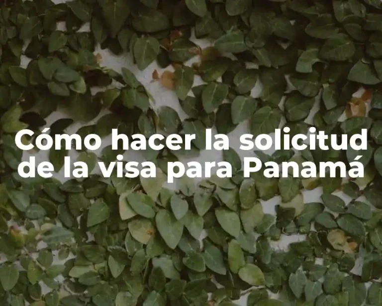 Cómo hacer la solicitud de la visa para Panamá