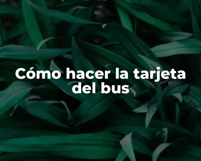 Cómo hacer la tarjeta del bus