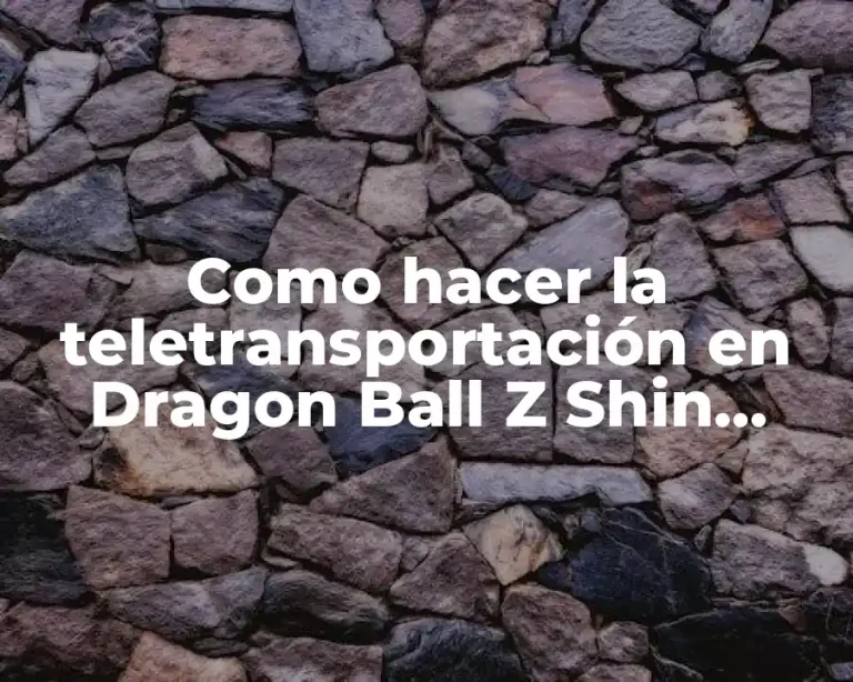 Como hacer la teletransportación en Dragon Ball Z Shin Budokai