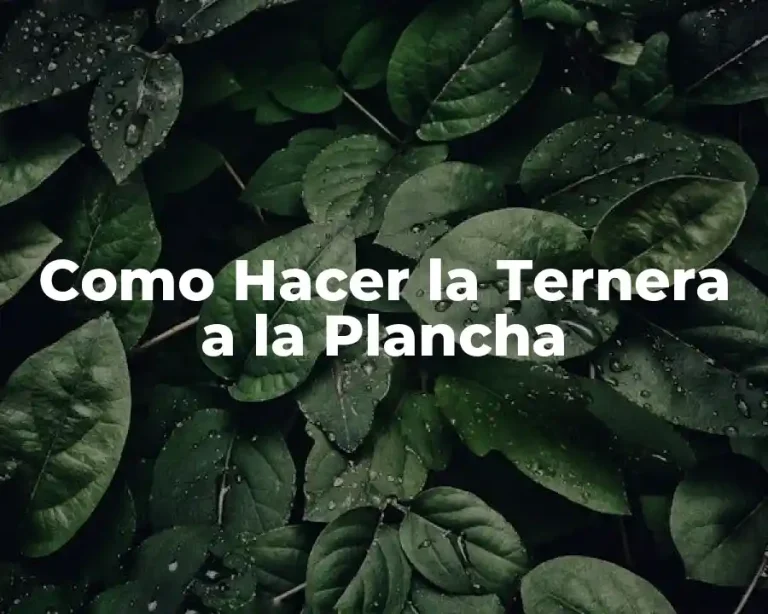 Como Hacer la Ternera a la Plancha