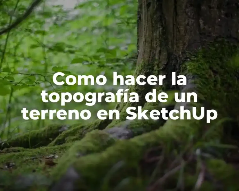 Como hacer la topografía de un terreno en SketchUp