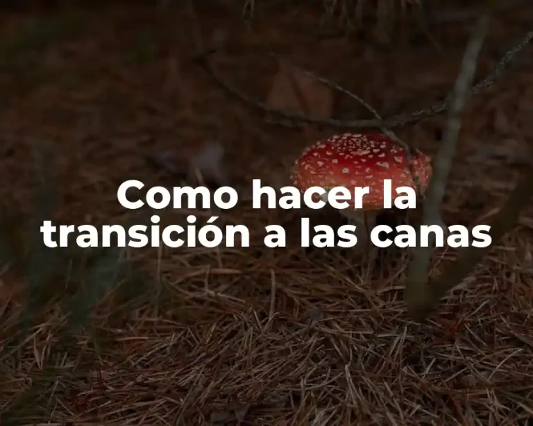 Como hacer la transición a las canas