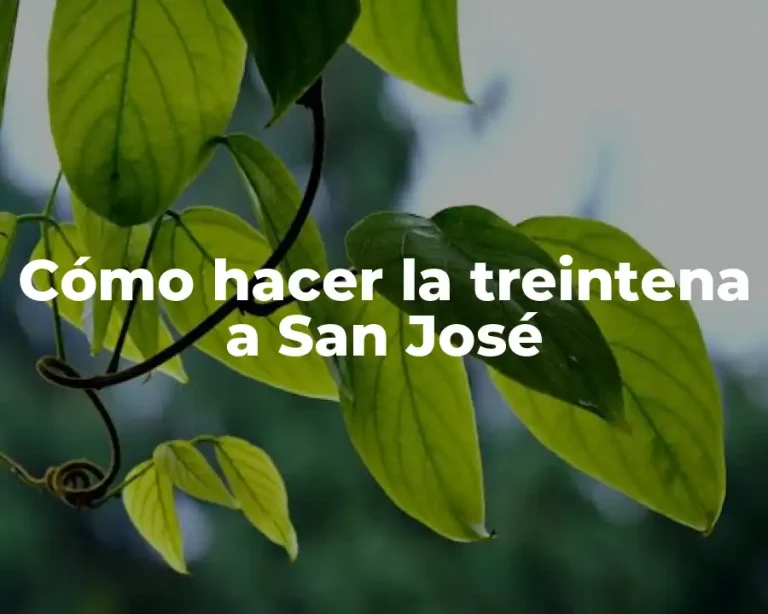 Cómo hacer la treintena a San José