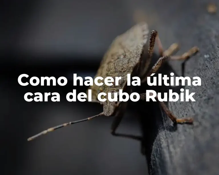 Como hacer la última cara del cubo Rubik