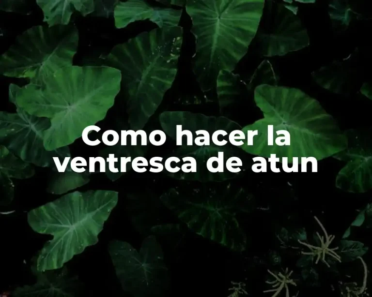 Como hacer la ventresca de atun