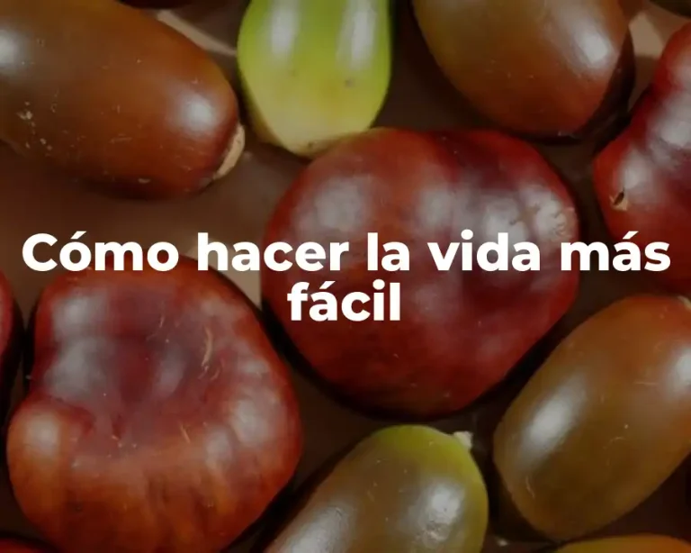 Cómo hacer la vida más fácil