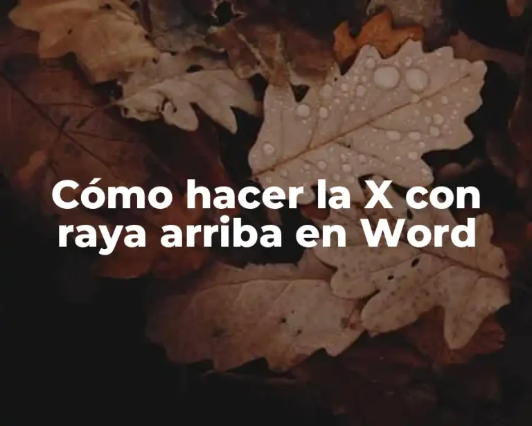 Cómo hacer la X con raya arriba en Word