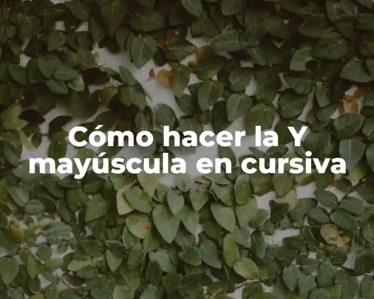 Cómo hacer la Y mayúscula en cursiva