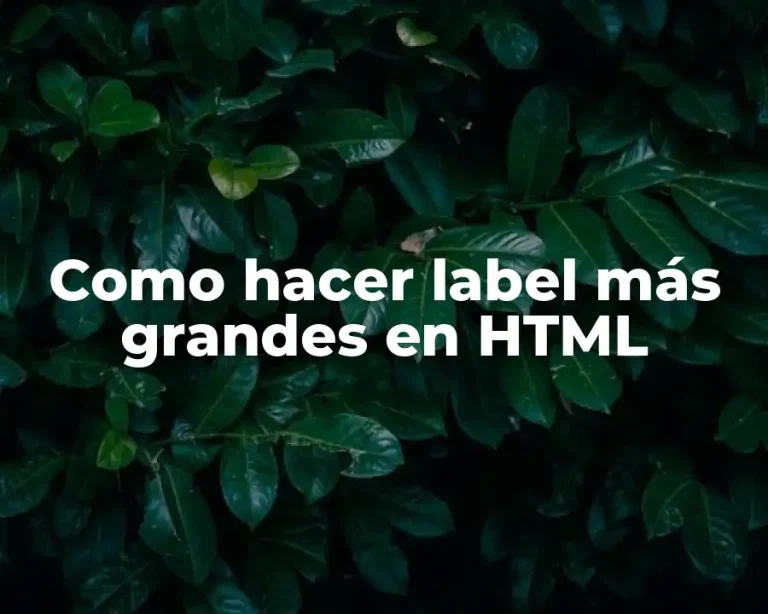 Como hacer label más grandes en HTML