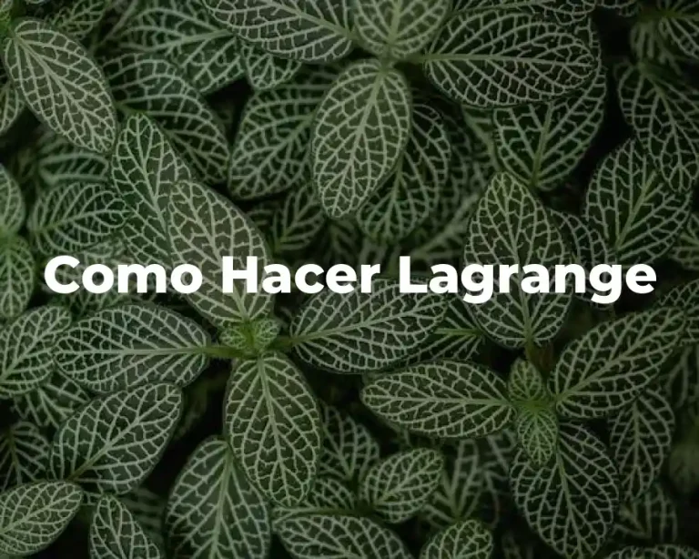 Como Hacer Lagrange