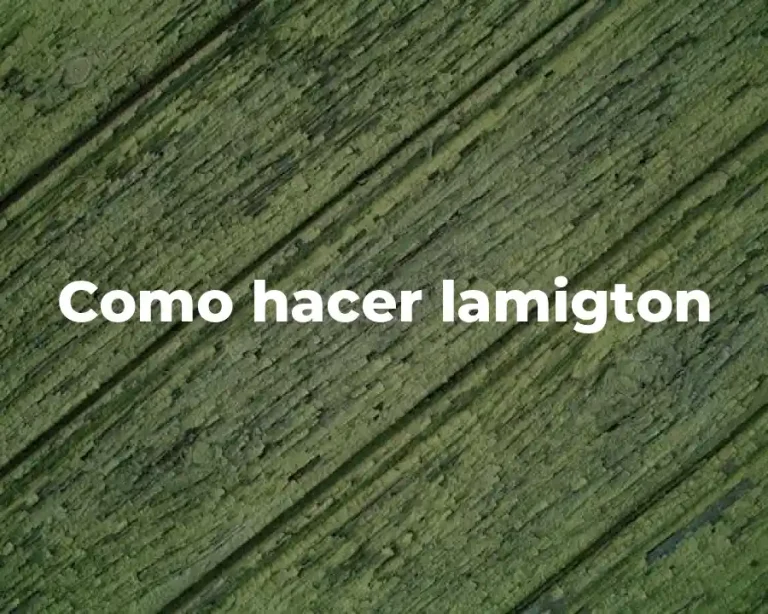 Como hacer lamigton