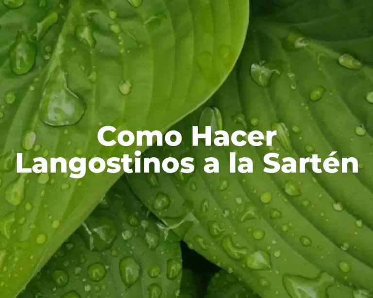 Como Hacer Langostinos a la Sartén