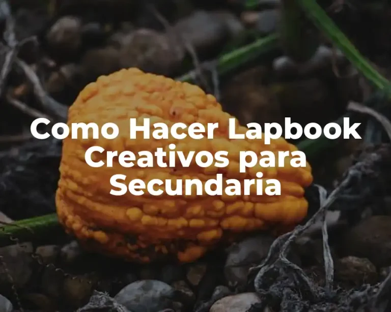 Como Hacer Lapbook Creativos para Secundaria