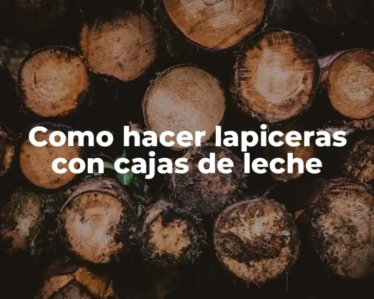 Como hacer lapiceras con cajas de leche
