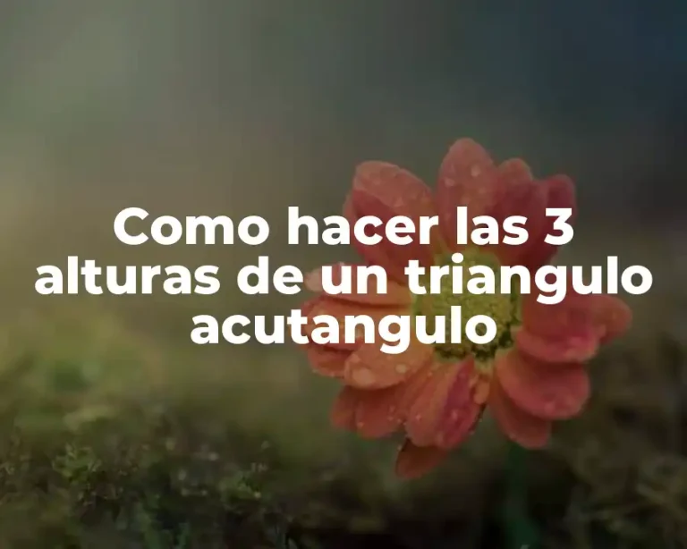 Como hacer las 3 alturas de un triangulo acutangulo