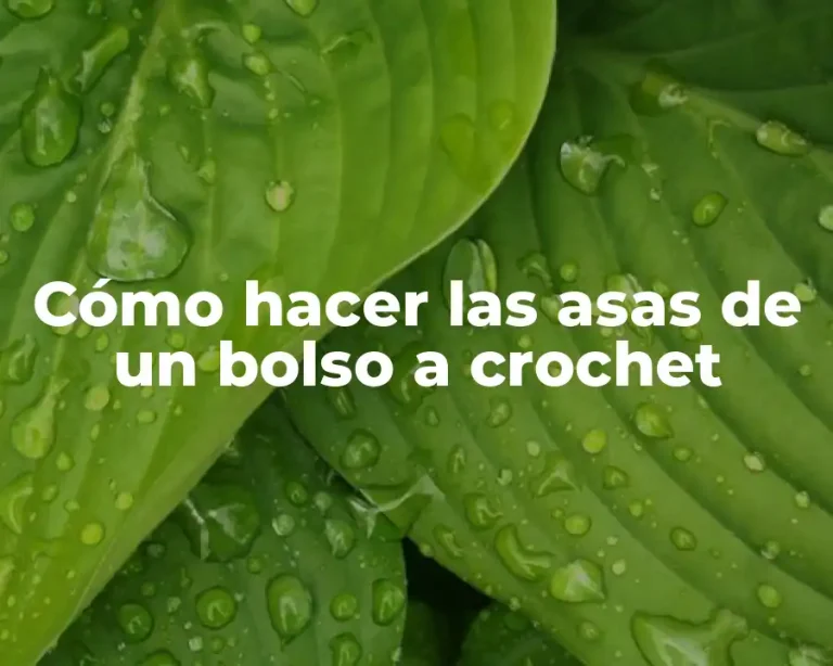 Cómo hacer las asas de un bolso a crochet