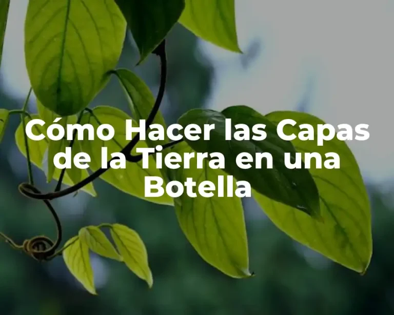 Cómo Hacer las Capas de la Tierra en una Botella