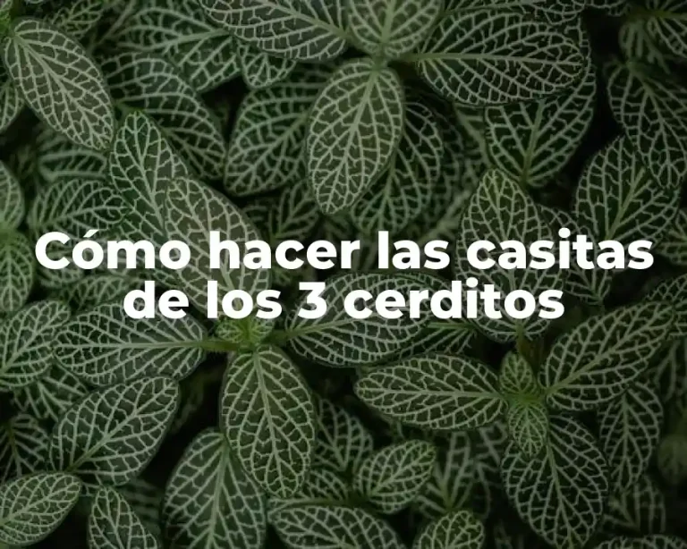 Cómo hacer las casitas de los 3 cerditos