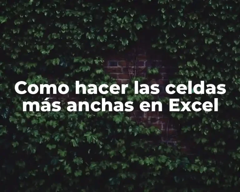 Como hacer las celdas más anchas en Excel