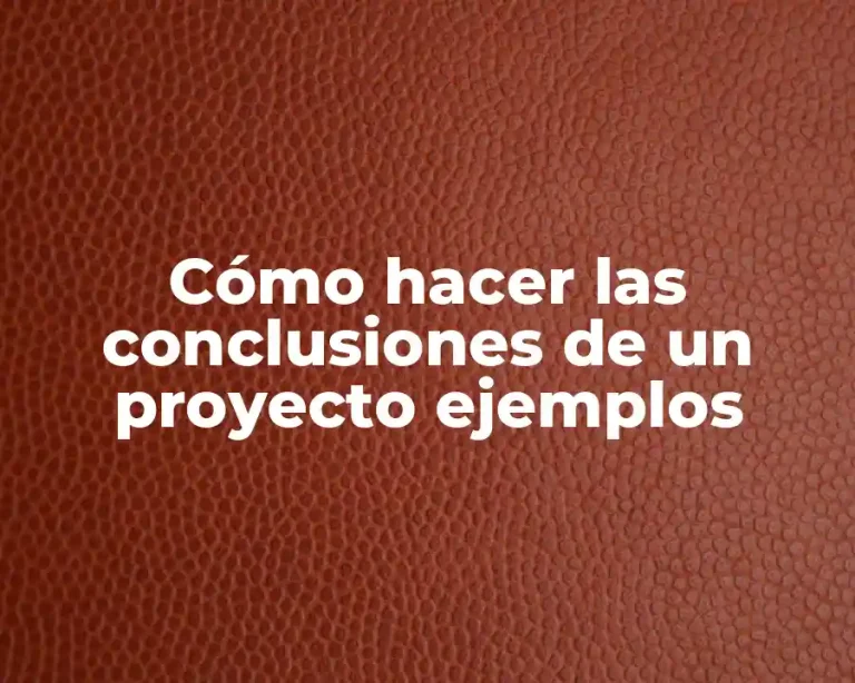 Cómo hacer las conclusiones de un proyecto ejemplos