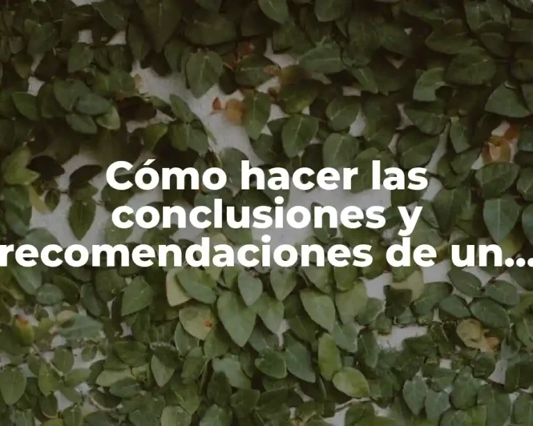 Cómo hacer las conclusiones y recomendaciones de un trabajo
