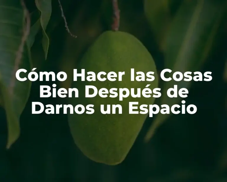 Cómo Hacer las Cosas Bien Después de Darnos un Espacio