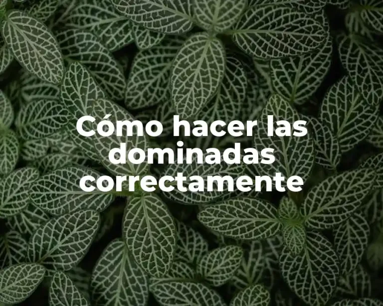 Cómo hacer las dominadas correctamente