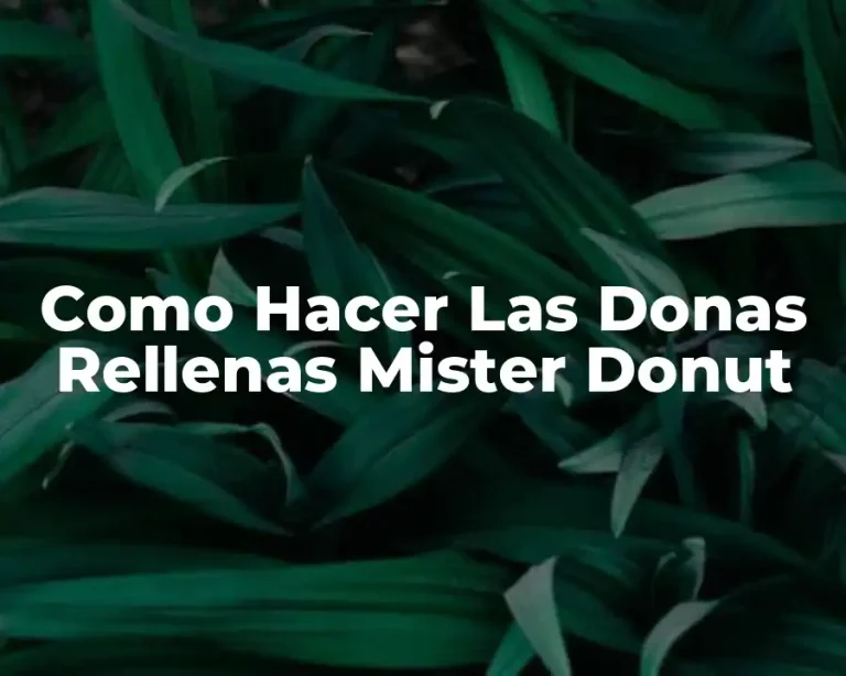 Como Hacer Las Donas Rellenas Mister Donut