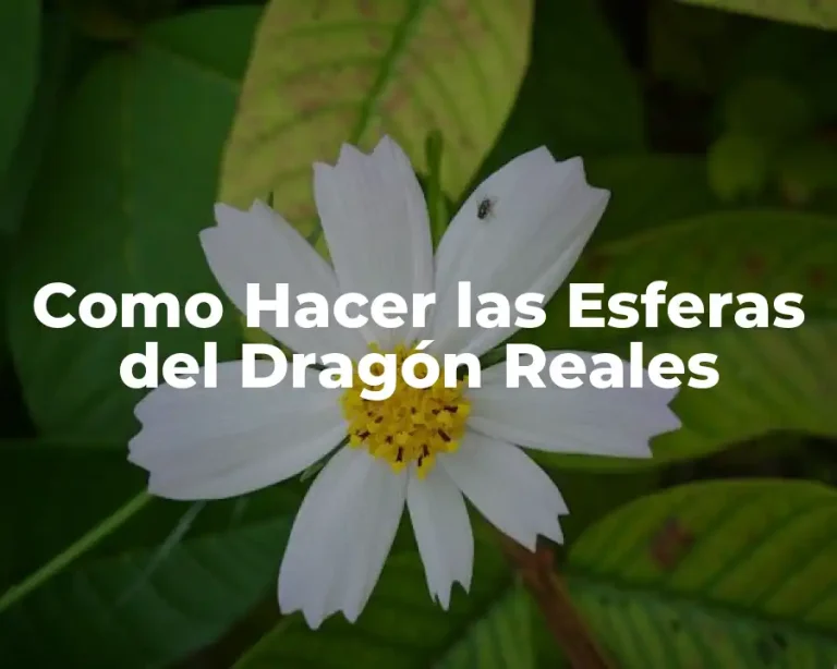 Como Hacer las Esferas del Dragón Reales