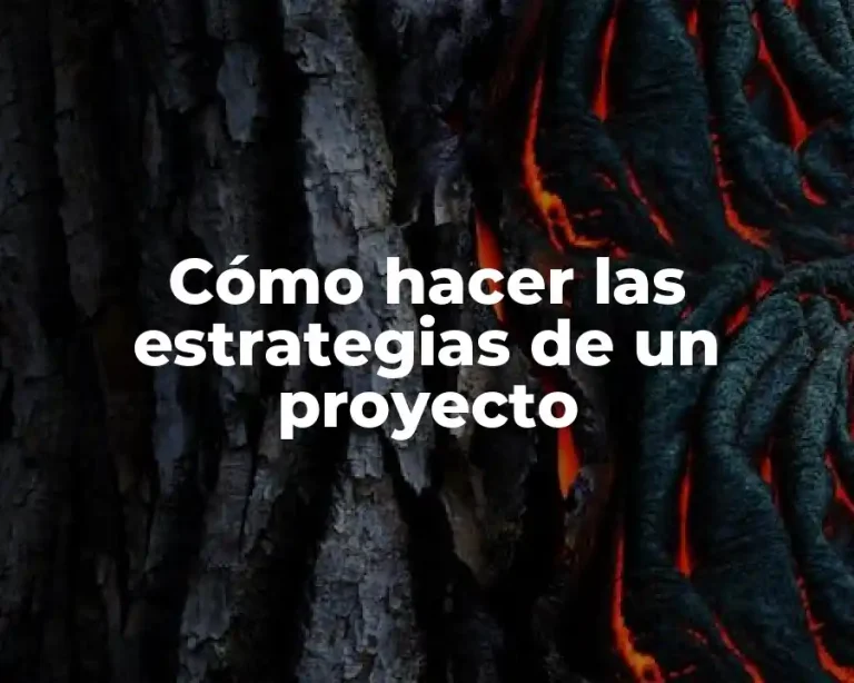 Cómo hacer las estrategias de un proyecto