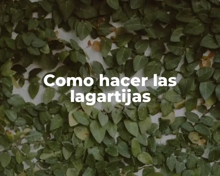 Como hacer las lagartijas