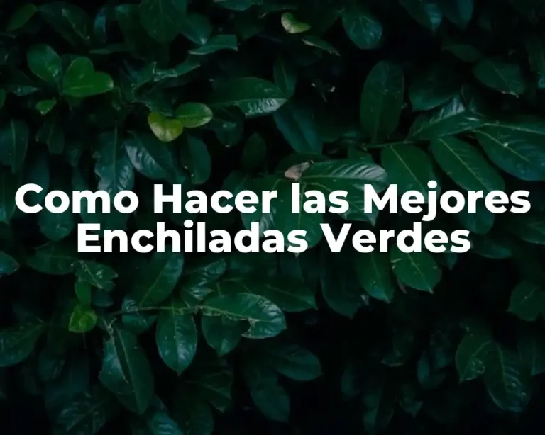 Como Hacer las Mejores Enchiladas Verdes