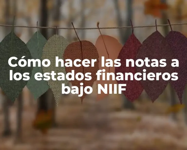 Cómo hacer las notas a los estados financieros bajo NIIF