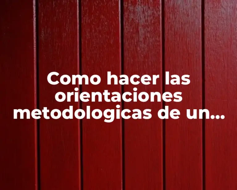 Como hacer las orientaciones metodologicas de un plan de clase